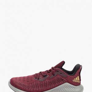 Кроссовки adidas alphabounce+ u