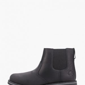 Ботинки Timberland Larchmont